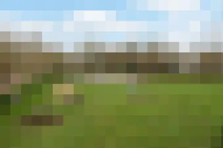 Duurschenlaan 11 Gieten thumbnail 57