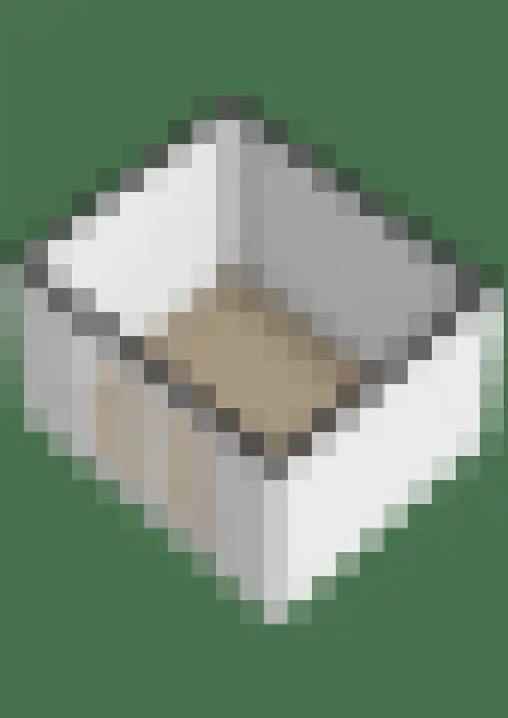 Duurschenlaan 11 Gieten thumbnail 66