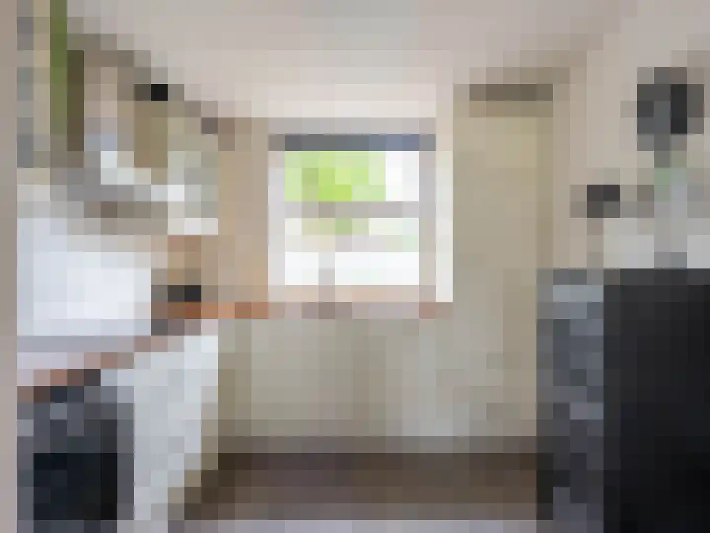 Duurschenlaan 19 Gieten thumbnail 20