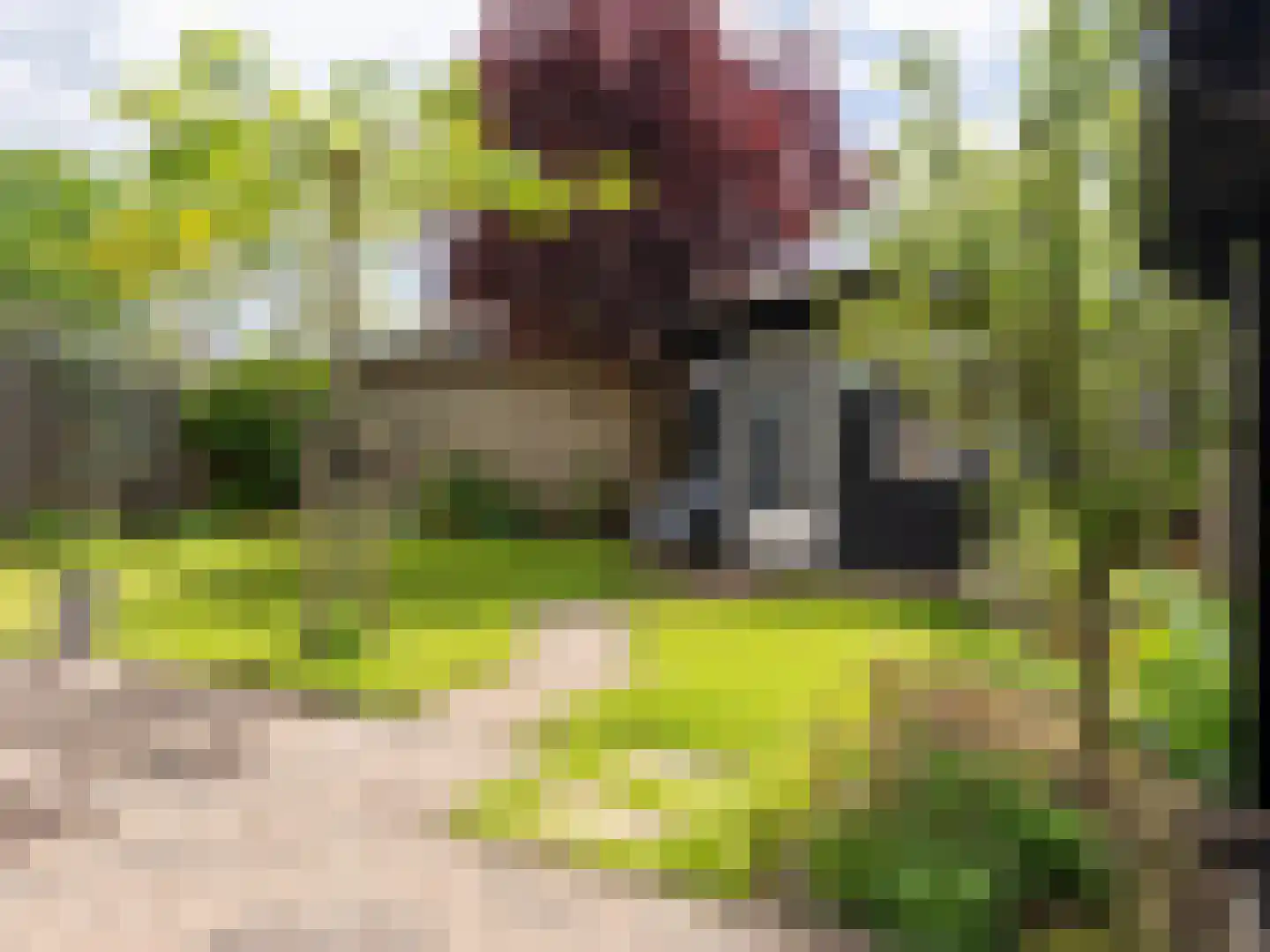 Duurschenlaan 19 Gieten thumbnail 39