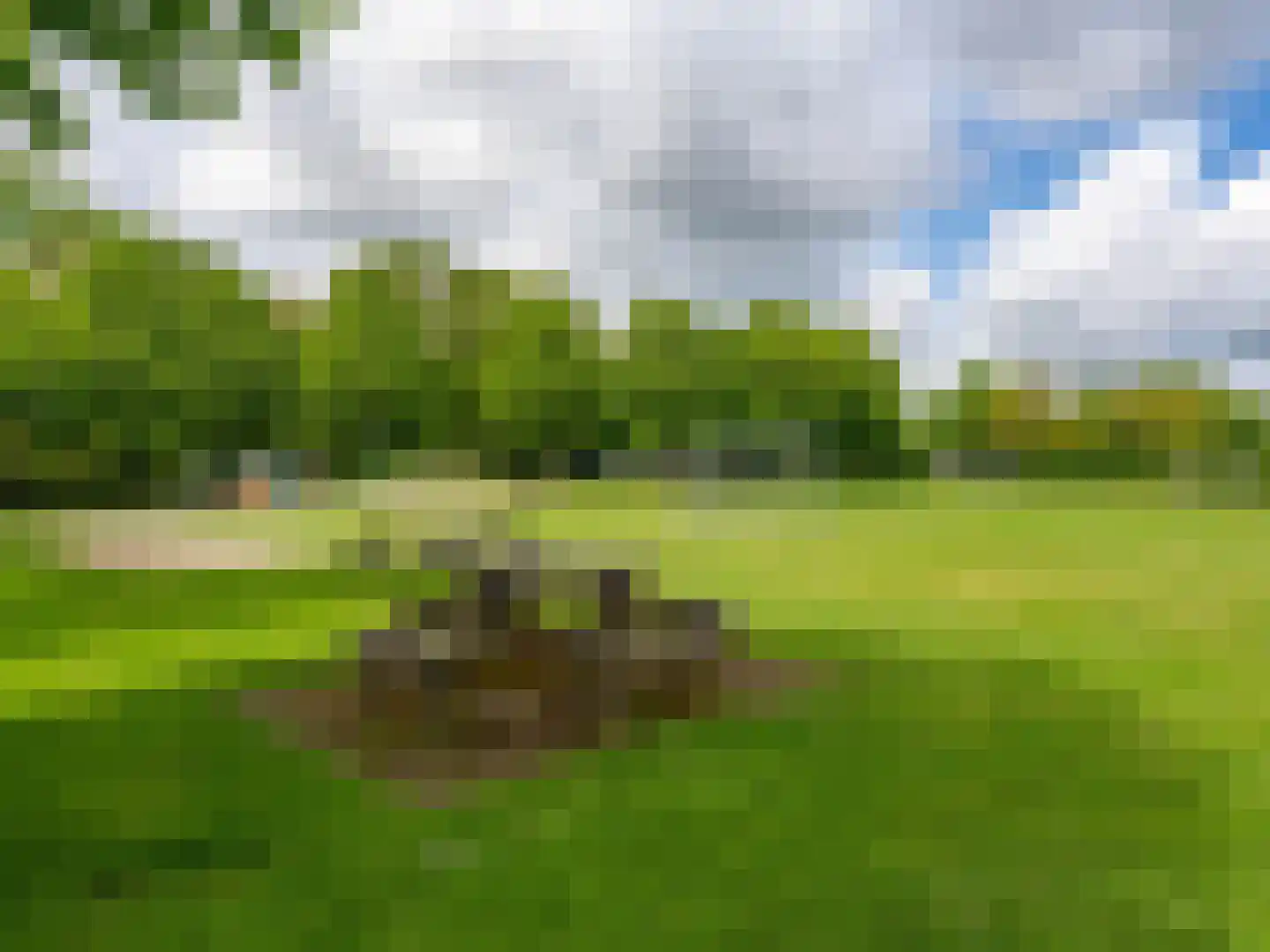 Duurschenlaan 19 Gieten thumbnail 46
