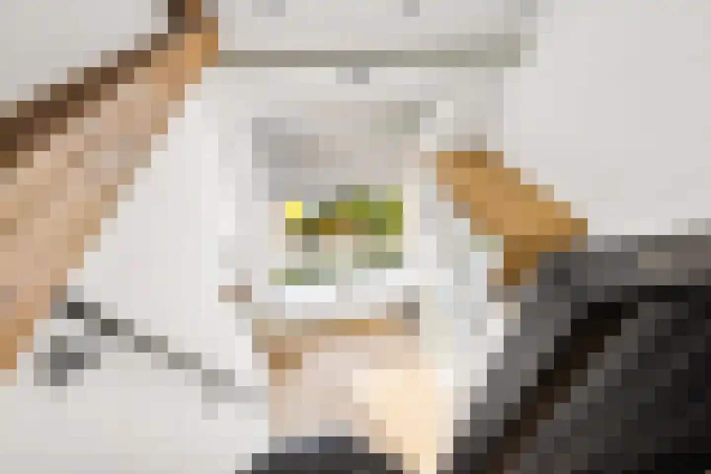 Duurstedelaan 24 A Utrecht thumbnail 28
