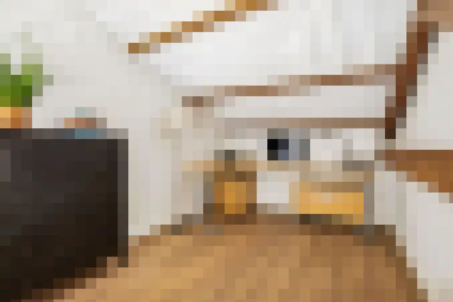 Duurstedelaan 24 A Utrecht thumbnail 29
