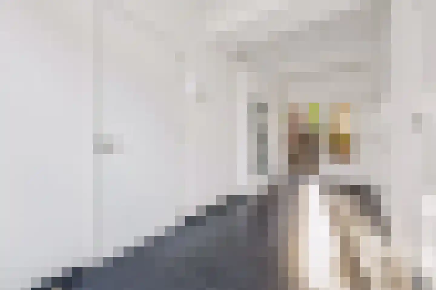 Duurstedelaan 24 A Utrecht thumbnail 33