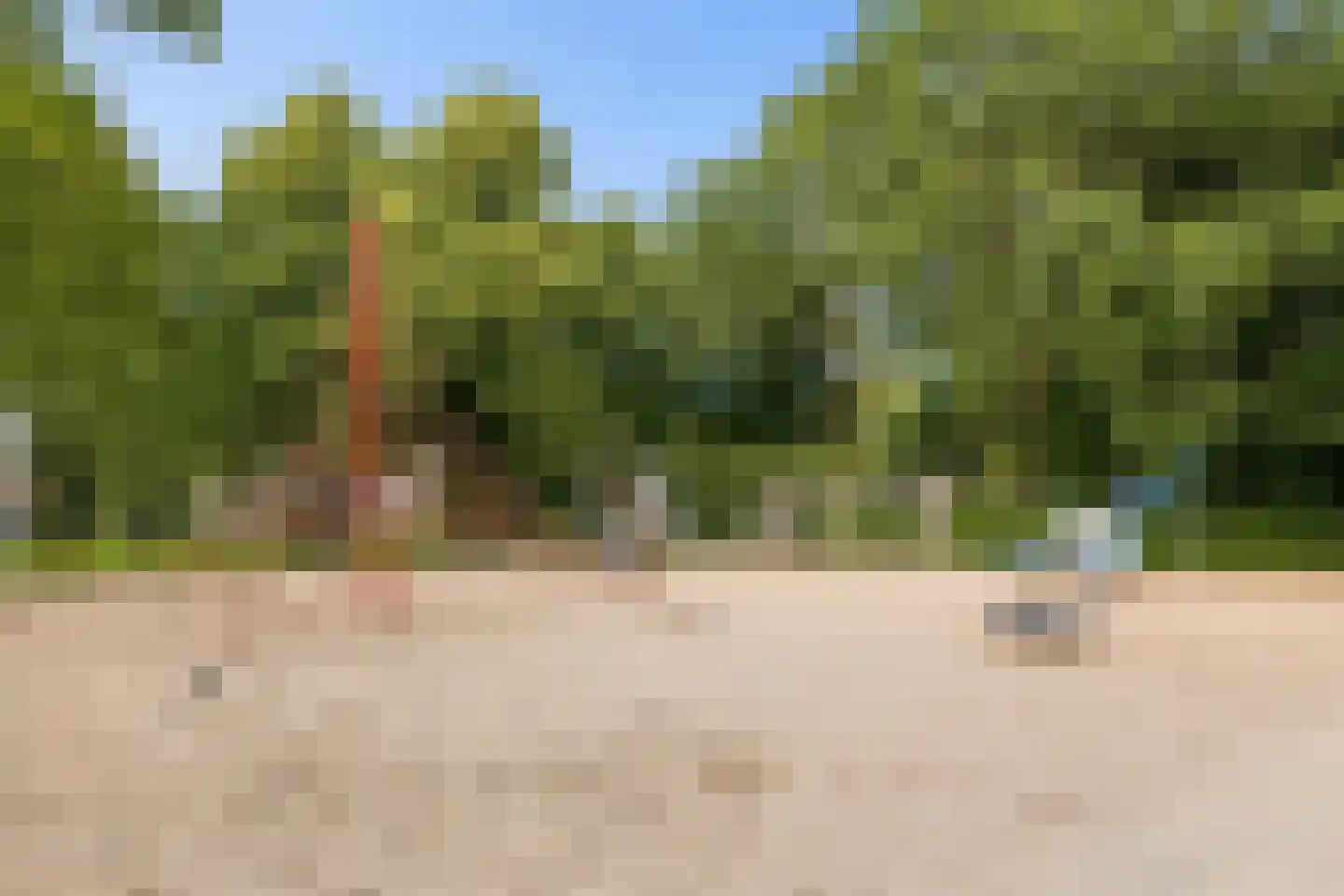 Duurstedelaan 24 A Utrecht thumbnail 38