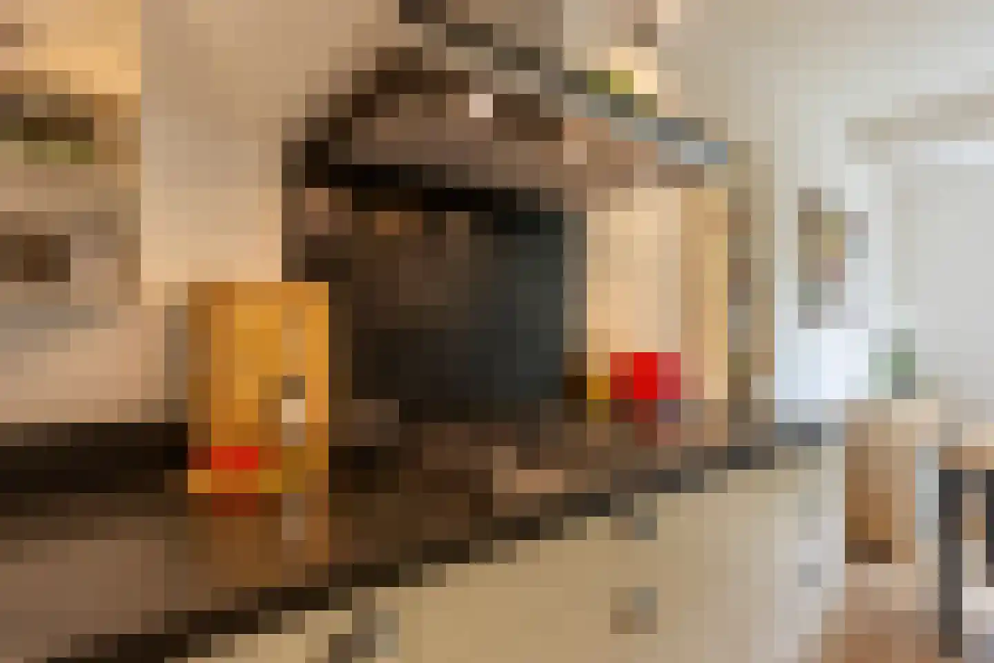 Duurstedelaan 49 Utrecht thumbnail 18