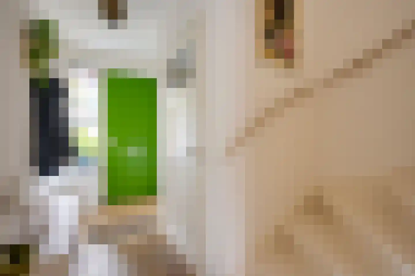 Duurstedelaan 49 Utrecht thumbnail 20