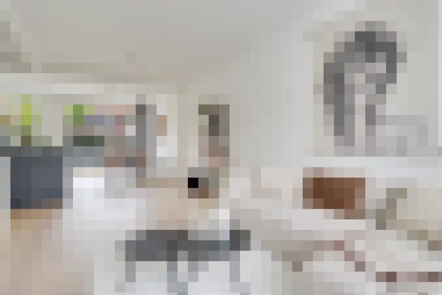 Duurstedelaan 67 Utrecht thumbnail 14
