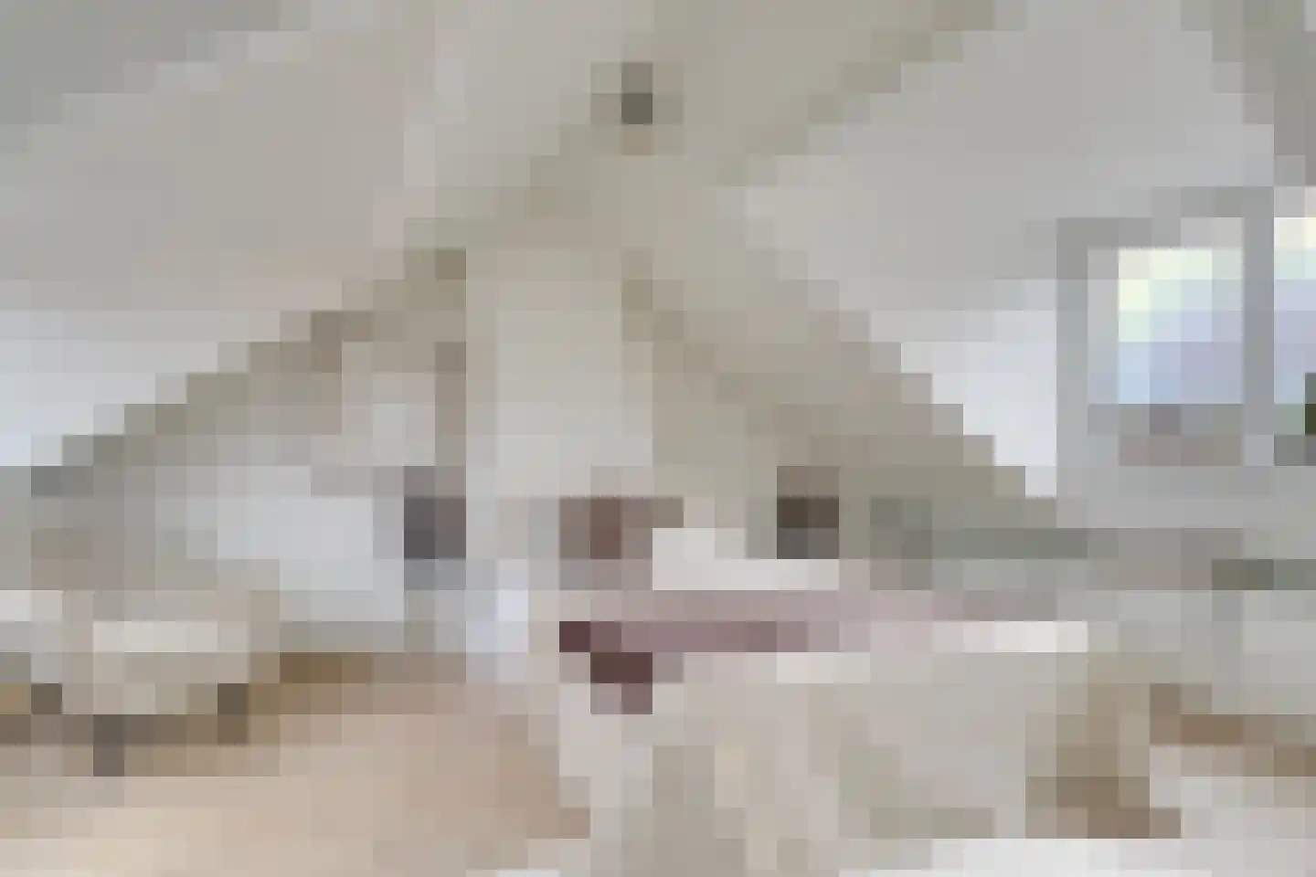 Duurstedelaan 67 Utrecht thumbnail 38