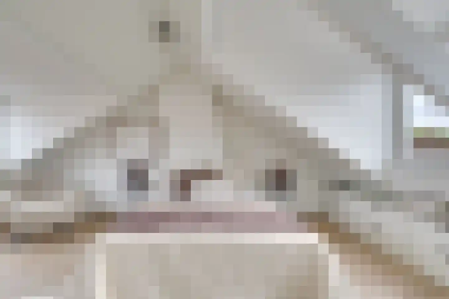 Duurstedelaan 67 Utrecht thumbnail 40