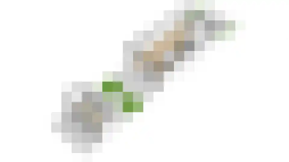Duurstedelaan 67 Utrecht thumbnail 62