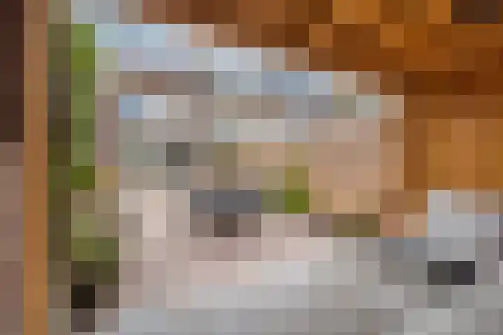 Duurstedelaan 71 Utrecht thumbnail 17