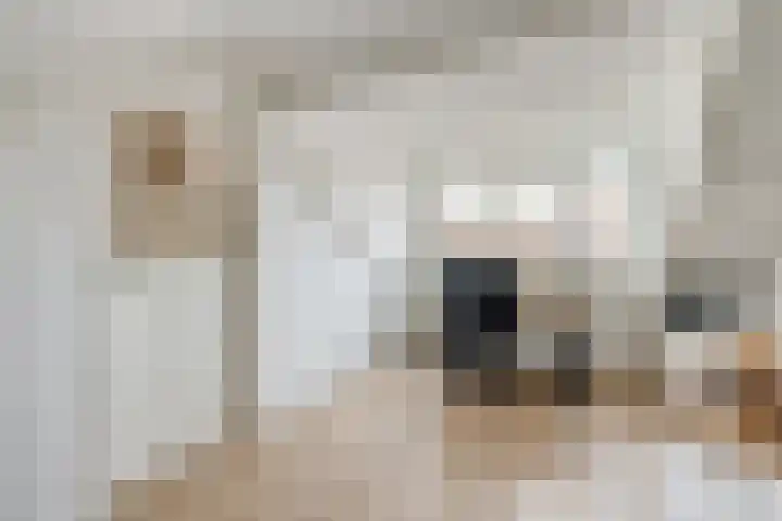 Duurstedelaan 71 Utrecht thumbnail 32