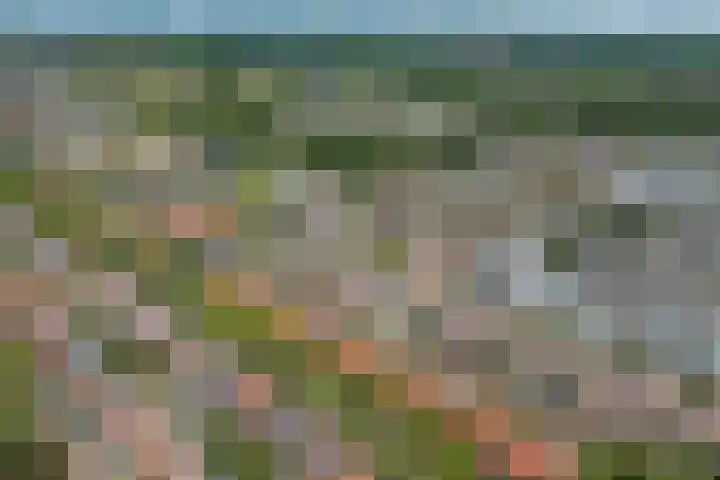 Duurstedelaan 71 Utrecht thumbnail 37