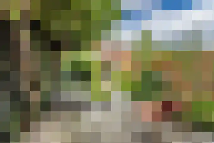 Duurstedelaan 97 Utrecht thumbnail 14
