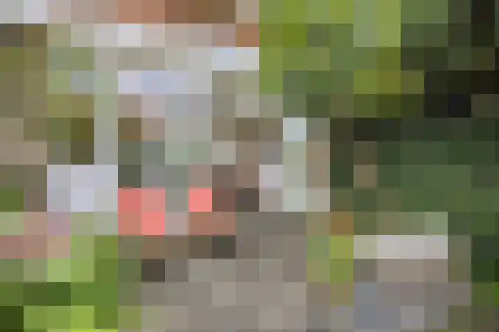 Duurstedelaan 97 Utrecht thumbnail 20