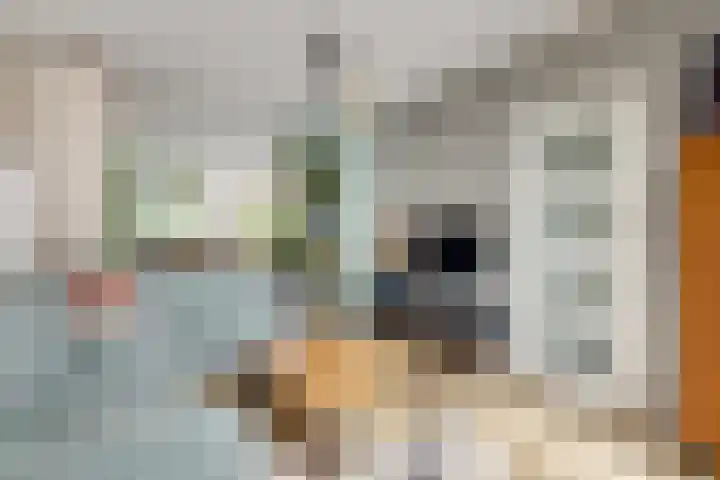 Duurstedelaan 97 Utrecht thumbnail 8