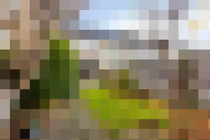 Duurstedestraat 12 Breda thumbnail 20