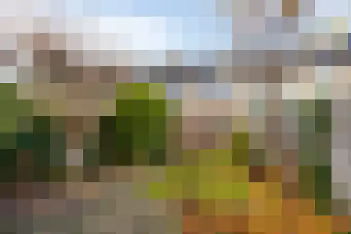 Duurstedestraat 12 Breda thumbnail 5