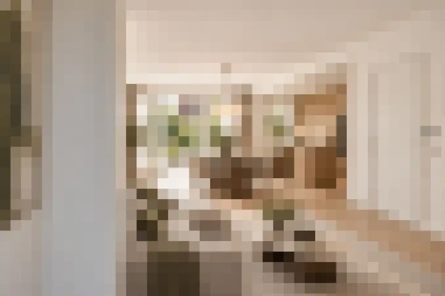 Duurstedestraat 120 Breda thumbnail 8
