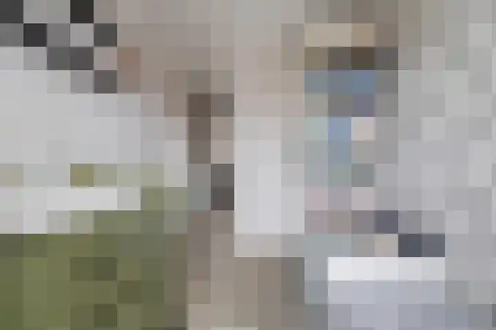 Duurstedestraat 46 Breda thumbnail 35