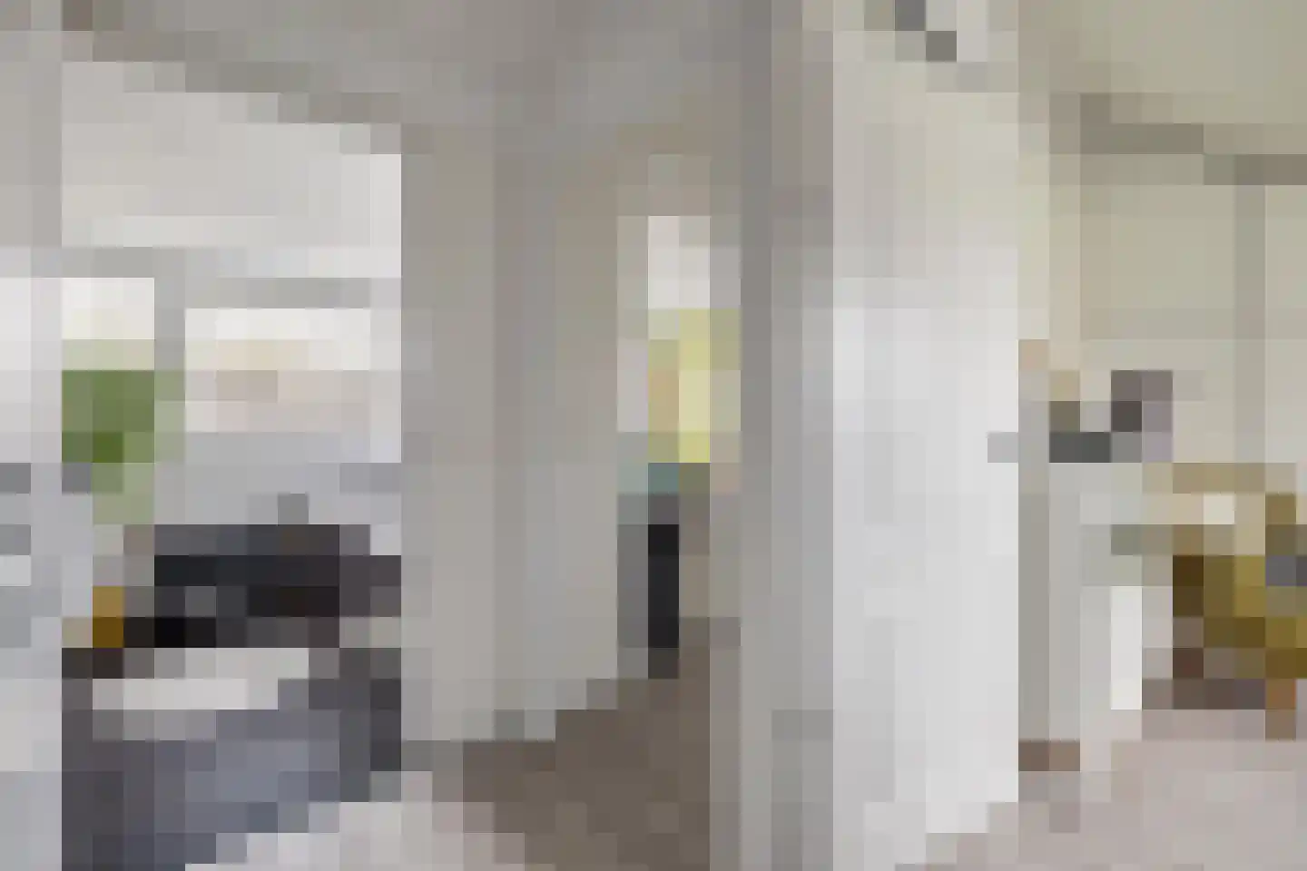 Duurstedestraat 46 Breda thumbnail 38