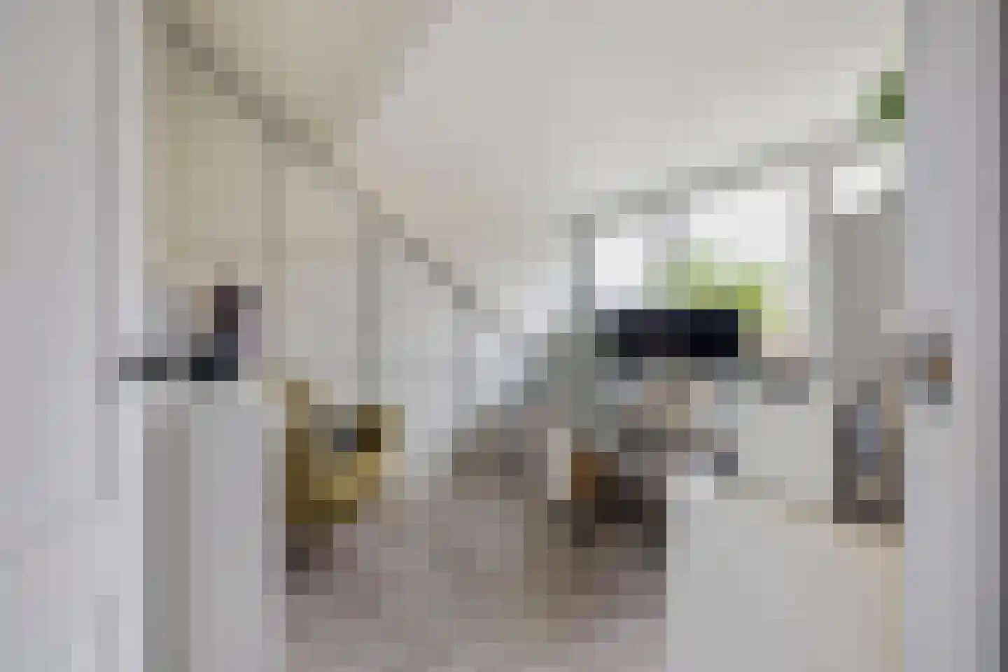 Duurstedestraat 46 Breda thumbnail 40