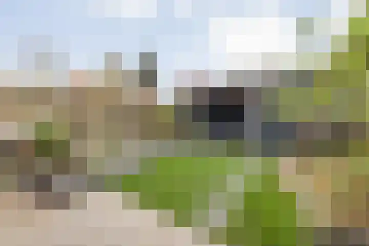 Duurstedestraat 46 Breda thumbnail 51