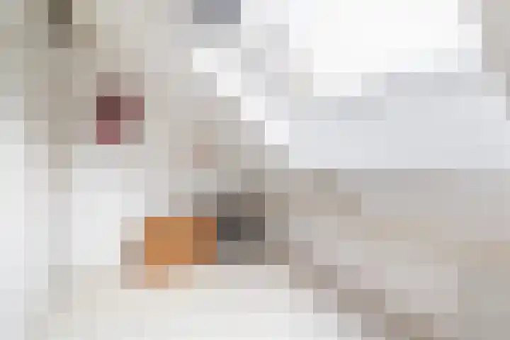 Duurswold 11 Veendam thumbnail 32
