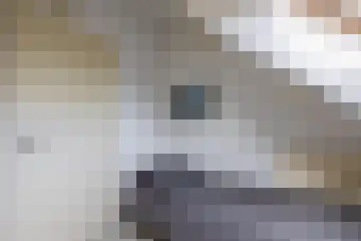 Duurswold 11 Veendam thumbnail 33