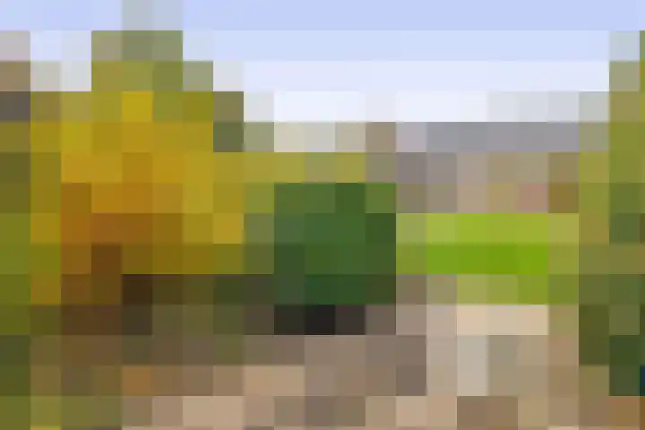 Duurswold 11 Veendam thumbnail 37