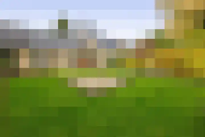 Duurswold 11 Veendam thumbnail 39