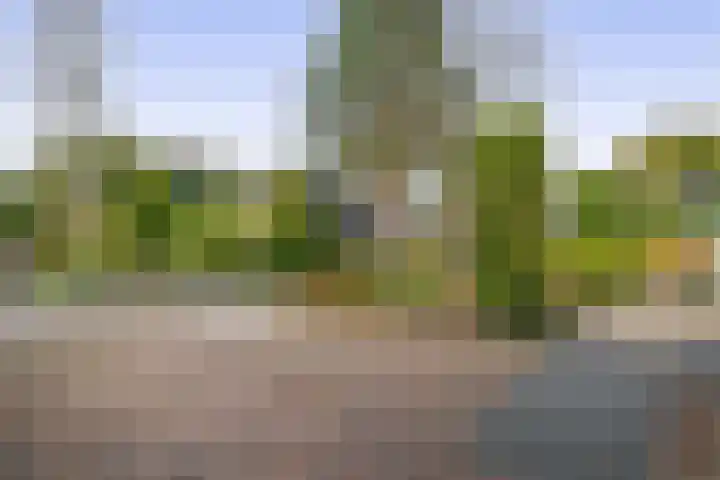 Duurswold 11 Veendam thumbnail 46