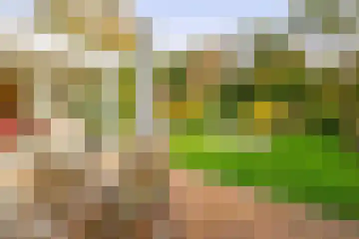 Duurswold 11 Veendam thumbnail 5
