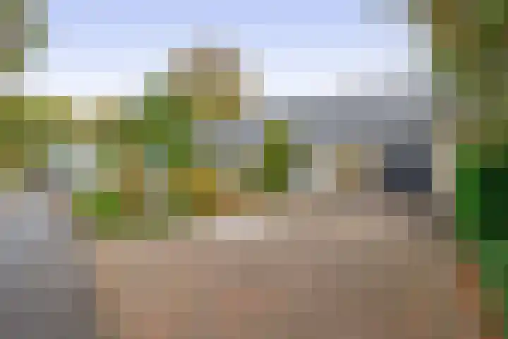 Duurswold 11 Veendam thumbnail 7