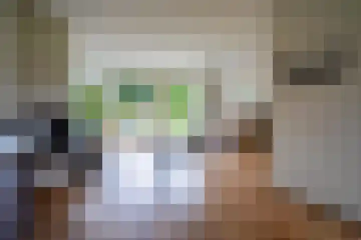 Duurswold 29 Veendam thumbnail 10