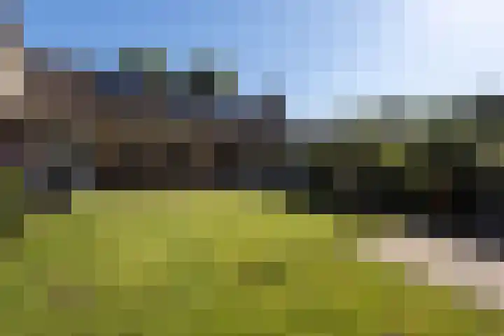 Duurswold 29 Veendam thumbnail 28