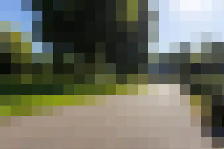 Duurswold 29 Veendam thumbnail 36