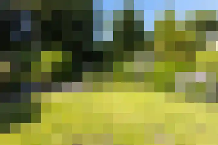 Duurswold 29 Veendam thumbnail 4
