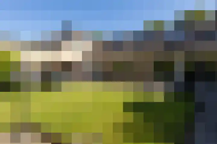 Duurswold 29 Veendam thumbnail 5