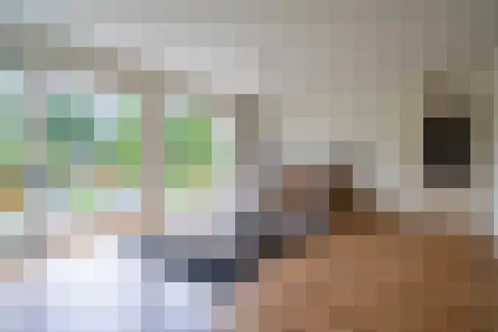 Duurswold 29 Veendam thumbnail 7