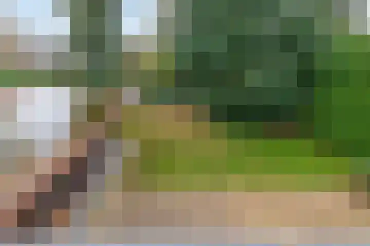 Duurswold 8 Veendam thumbnail 23