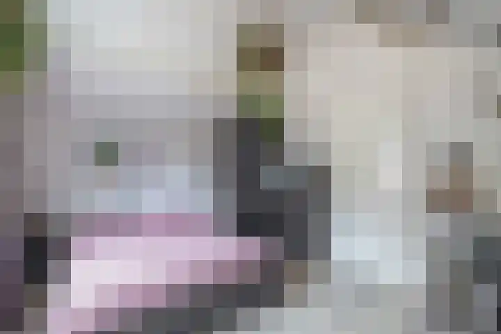 Duurswold 8 Veendam thumbnail 25