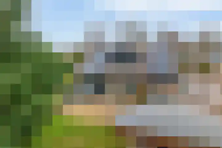 Duurswold 8 Veendam thumbnail 31
