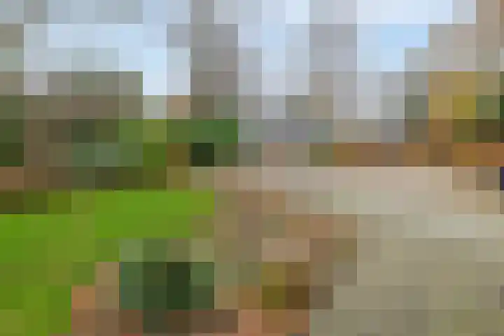 Duurswold 8 Veendam thumbnail 39