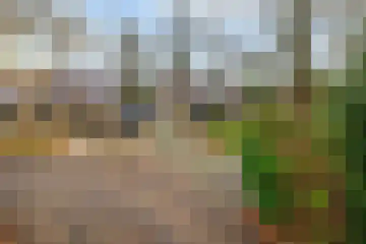 Duurswold 8 Veendam thumbnail 41