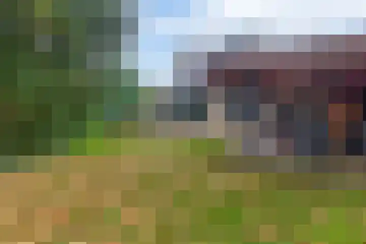 Duurswold 8 Veendam thumbnail 5