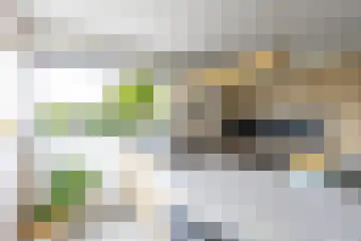 Duurswoldlaan 30 Groningen thumbnail 20