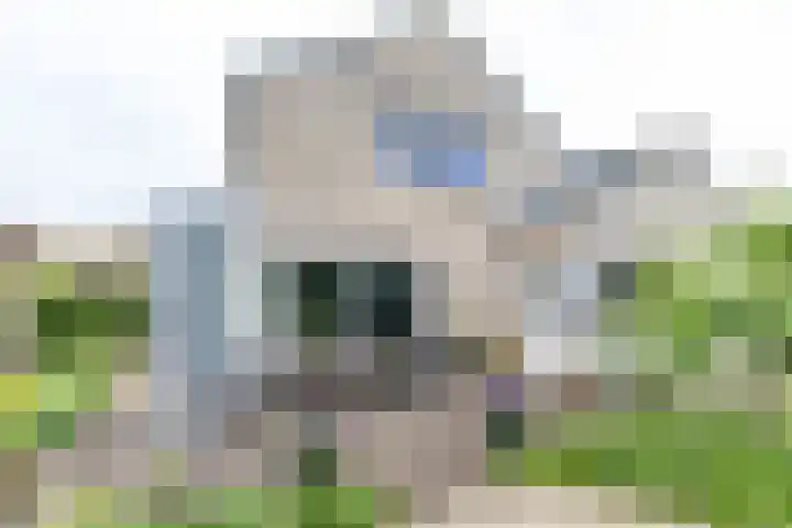 Duurswoldlaan 30 Groningen thumbnail 34