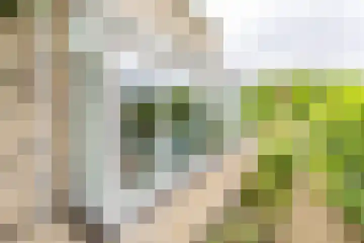 Duurswoldlaan 30 Groningen thumbnail 37